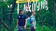 如何正确区分iPhone的官翻机？游戏画面